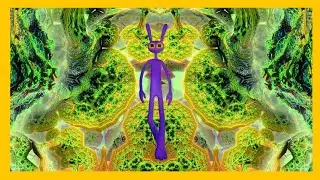 SW's Livestream: JAX ACID TRIP EDITION