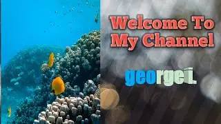 MARINE LIFE ADVENTURE, RELAX AND WATCH AMAZING,  COLORFUL TROPICAL FISH AND SEA MAMMALS...
