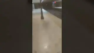 interesting ting at lavov most metro station