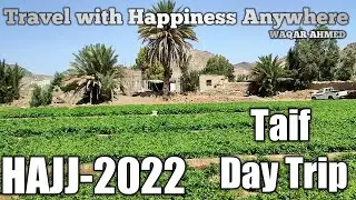 طائف زیارت کا یادگار دن | قدرتی مناظر اور روحانی سکون
