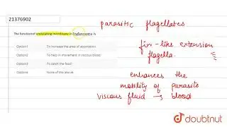 The function of undulating membrane in Trypanosoma is
