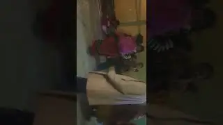 karol nini panda