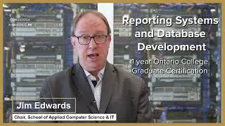 Reporting Systems and Database Development