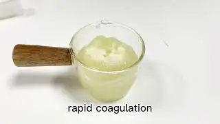 6g Chitosan Powder Applicator with Fast Hemostatic Granule Bandage