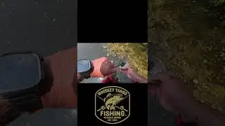 WTF Catch Cam 62 - I Bare Handed This Bass!