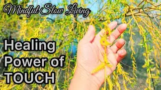 Part 6 - My Guide to Mindful Slow Living - THE HEALING POWER OF TOUCH - Earthing & Forest bathing