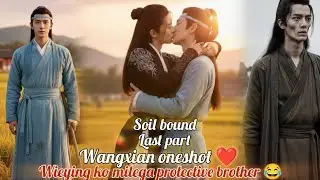 SOIL BOUND // LAST PART // Wangxian Fanfiction Explanation In Hindi #ff #bl #oneshotff 