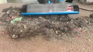 Big Pile Vs Bissell BRUSH ROLL ACTION
