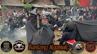 Putra Rimba Budaya ft Macan Kembar & Garuda Sakti Live Pacet Selatan || Macanan & Bantengan