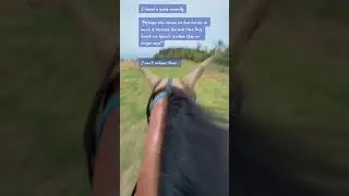 #greifjourney #horse #inheavennow #hitshard