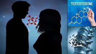 DON'T AVOID TAKING THIS TRACE MINERAL FOR MEN'S LIBIDO AND WOMEN'S HEALTH - Dr Alan Mandell, DC