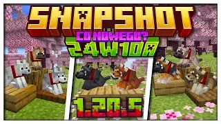 8 NOWYCH WARIANT&Oacute;W WYGLĄDU WILKA || Przegląd Snapshota [24w10a]