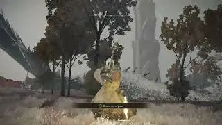 ELDEN RING RUNE FARM 1.0.8 Greyoll Reset