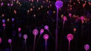 Sensorio, Field of Lights, 2020, Paso Robles, CA, by Bruce Munro