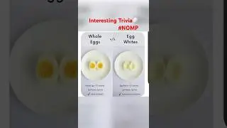 Know your Egg🥚#health #nutrition #nutritiontips #egg #healthtips ##shorts #calories