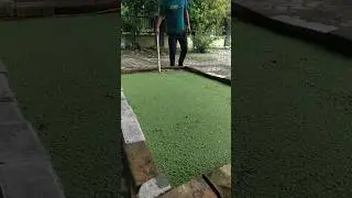 sesekali diaduk biar nutrisi pada media bisa terserap optimal oleh azolla #pakanternakmurah #azolla