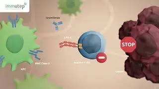 Exploring LAG-3 Immunotherapy in Cancer Treatment: A Life Science Animation & Immutep Collaboration