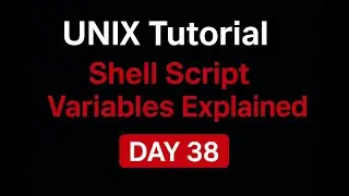 UNIX Tutorial &ndash; Shell Script Variables Explained | Day 38