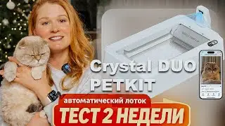 Crystal DUO PETKIT Automatic Open Litter Box for Cats - 2-Week Test with Mercy