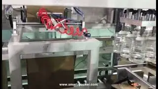 Botella de mascotas Jar Robot Manos Recogiendo Tipo Clasificaci&oacute;n Feeding Cartoning Machine Encasing