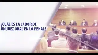 Protagonistas de la Justicia 14: Juez de Tribunal Oral en lo Penal