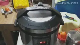 Baumann electric pressure cooker 1st timer