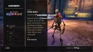 ESO-Silver Rose-Red Pedal Bastion Trifecta(Speedrun,No Death,Hm)-Magcro Dps Pov