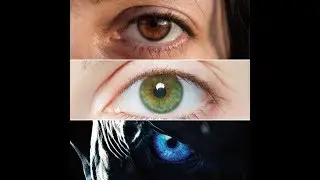 Arya Melisandre Brown Eyes Green Eyes and Blue Eyes  Game Of Thrones Season 8 Episode 3