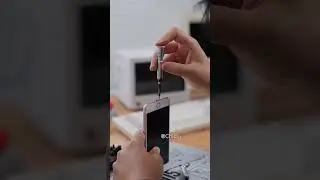 Amazing find