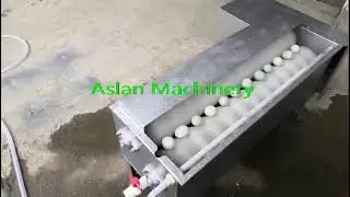 brush egg washing machine