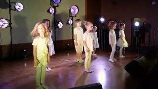 Stein Studio Mini Сценическое Искусство