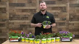 Show 609D - Bonnie's Flowers | Simply Southern TV