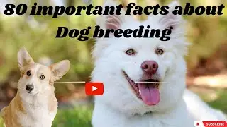 Unveiling the Art of Responsible Dog Breeding: Preserving Breeds, Ensuring Health.