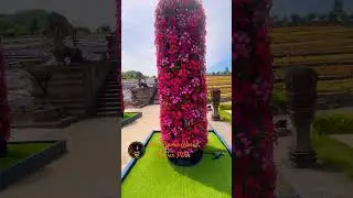 New Rioma World a fantasy land above the mountain. Japan #travel #flowers #garden #spring #disney