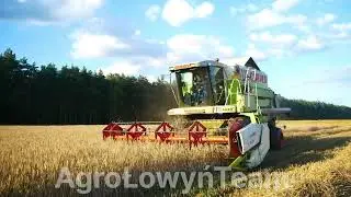 🌾Żniwa żyta Dominator 98 🌾