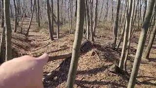Luzerne County, PA old coal mine entrance with hand built rock wall lined road!