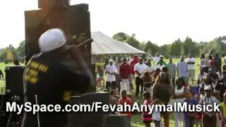 Fevah1st - Roy Wilkins park(top ov da world-live)Performance