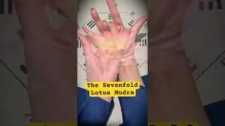 The sevenfold of Mudra usually used in Taoist Ritual#daoist #mudra #handgestures #ritual #spritual