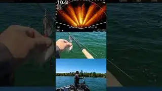LiveScope XR Hunt for Pike & Musky | Casting the Bucher Tail