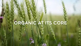 Organic at its Core &mdash; Regenerative Organic &mdash; Nature&rsquo;s Path