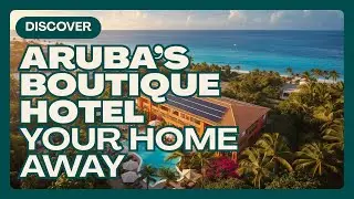 Swiss Paradise Aruba 360 video, virtual reality, business tours, 360 destinations