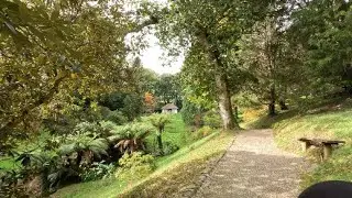 Glendurgan Gardens   October 2025
