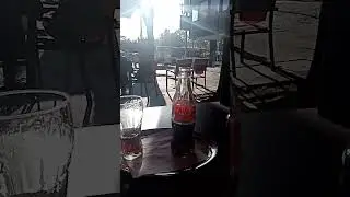 Bonner Koryph&auml;e  388    Mark Horn trinkt eine Coca - Cola in einem Eiscafe`  in Bonn   Globus 5