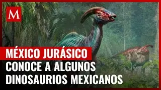 M&eacute;xico jur&aacute;sico: Dinosaurios del actual territorio mexicano