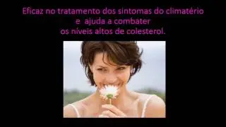 ISOMEGAVIT&reg;- Isoflavona e &Ocirc;mega 3