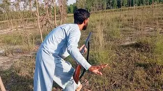 Hunting with old double barrel Remington 12 gauge shotgun | Hunting in Peshawar Pakistan