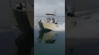 Go time in the 510 Powercat #bayofislands #fishing #gamefishing #nzboating