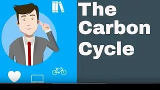 Explain the Carbon Cycle