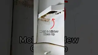 Mold And Mildew Shower Clean Up #cleaning #satisfying #asmr