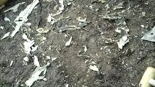 Fence Post Bark Removal part 2